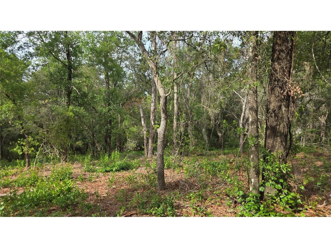 4771 N Redwood Avenue Hernando FL 34442 TB8398091 image31