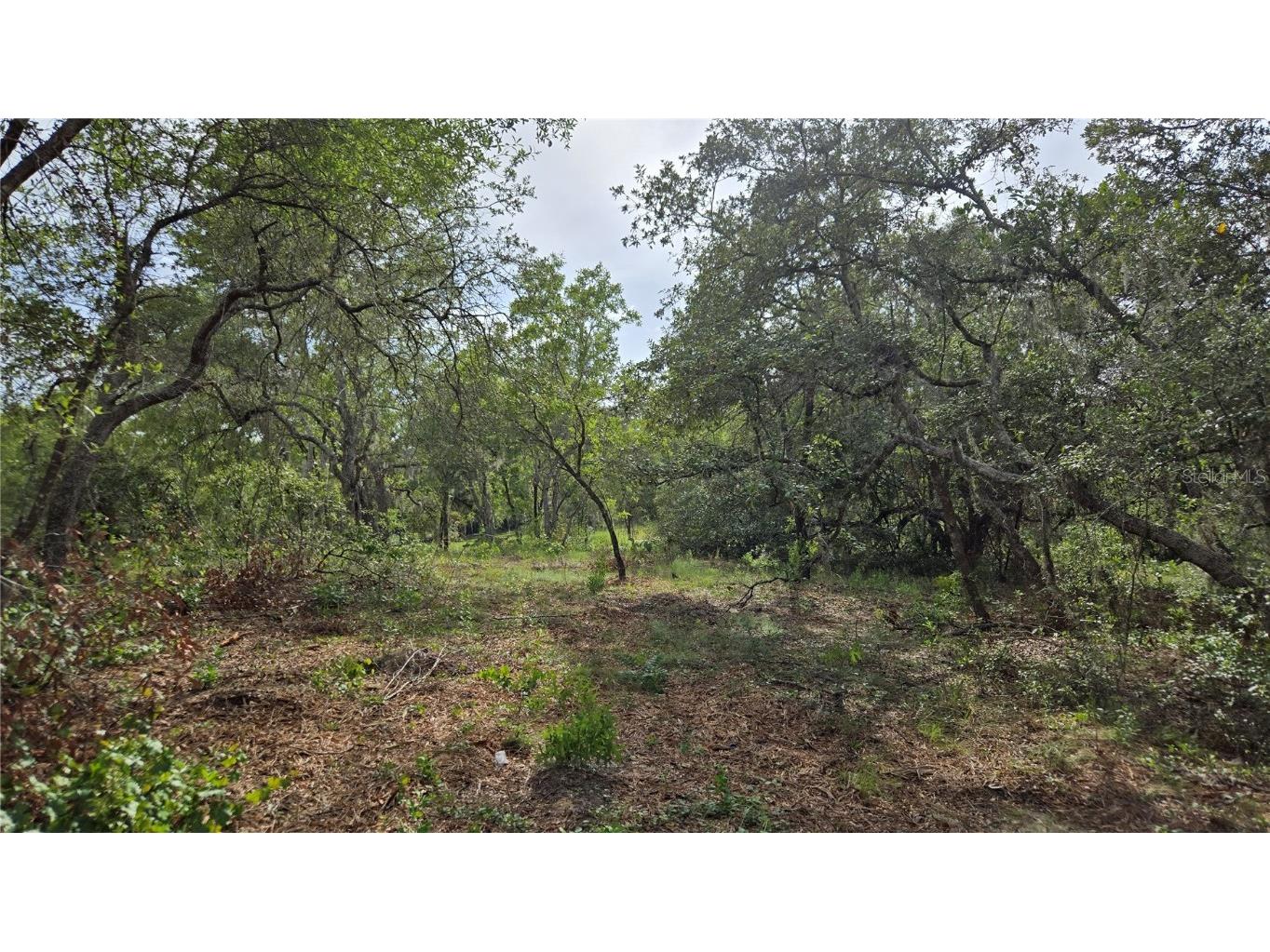 4771 N Redwood Avenue Hernando FL 34442 TB8398091 image32