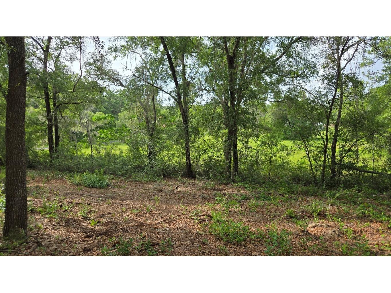 4771 N Redwood Avenue Hernando FL 34442 TB8398091 image35