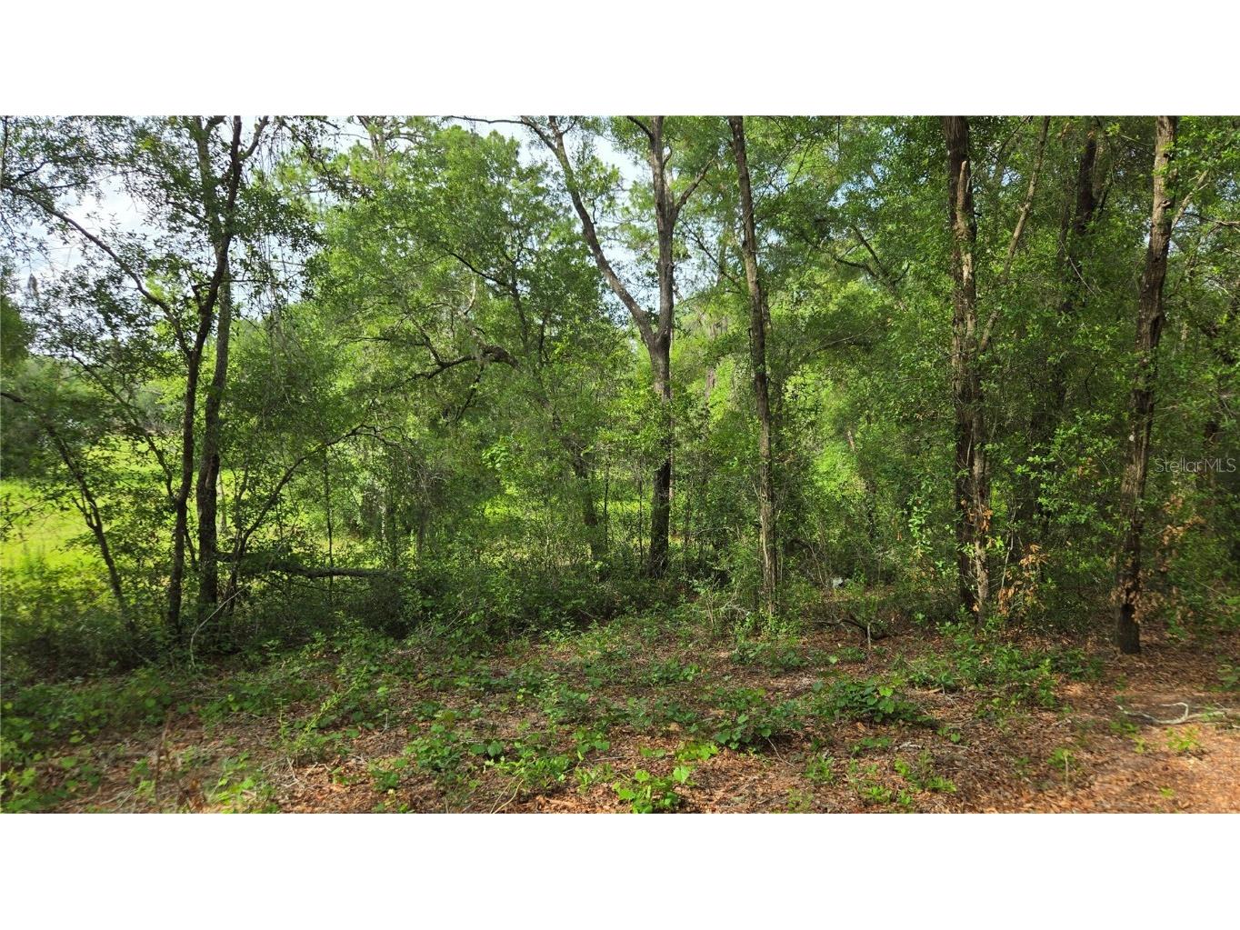 4771 N Redwood Avenue Hernando FL 34442 TB8398091 image36