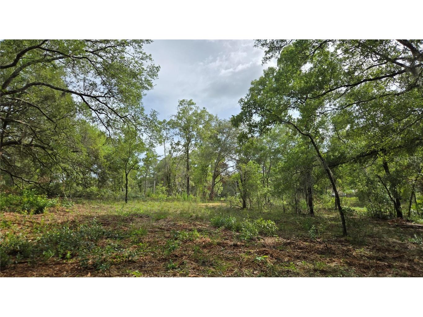 4771 N Redwood Avenue Hernando FL 34442 TB8398091 image38