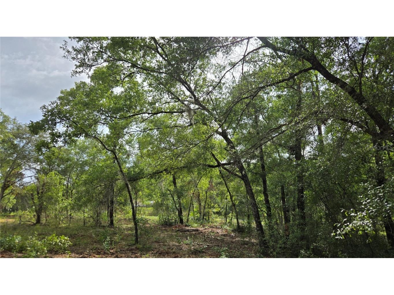 4771 N Redwood Avenue Hernando FL 34442 TB8398091 image39