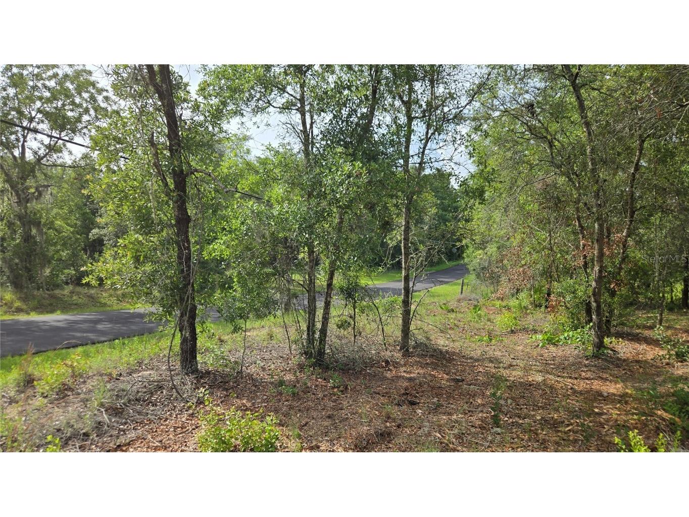 4771 N Redwood Avenue Hernando FL 34442 TB8398091 image41