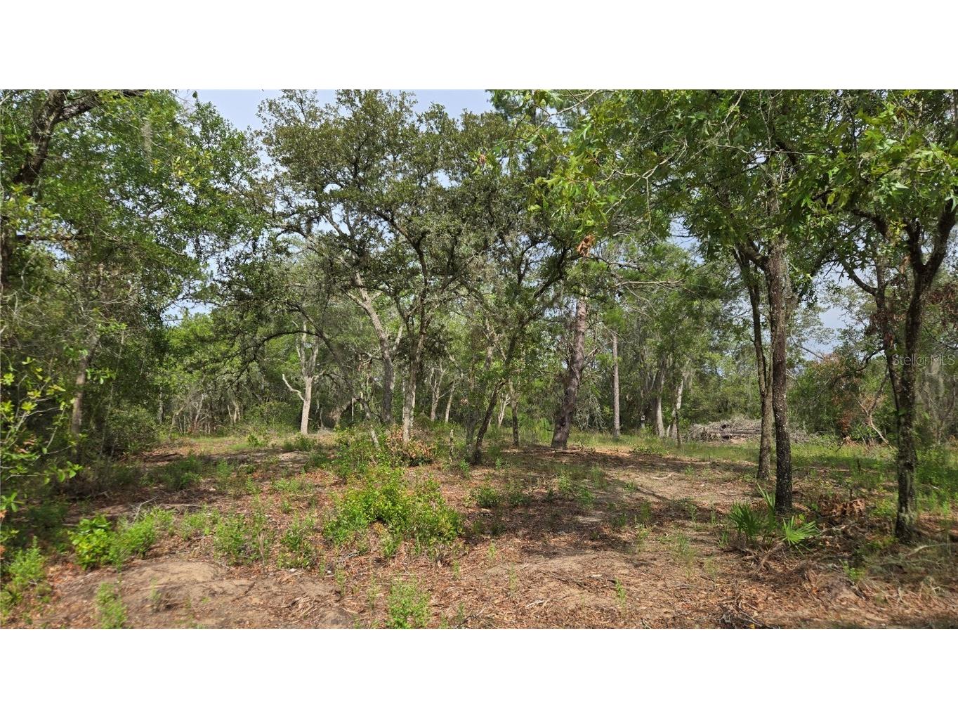 4771 N Redwood Avenue Hernando FL 34442 TB8398091 image8