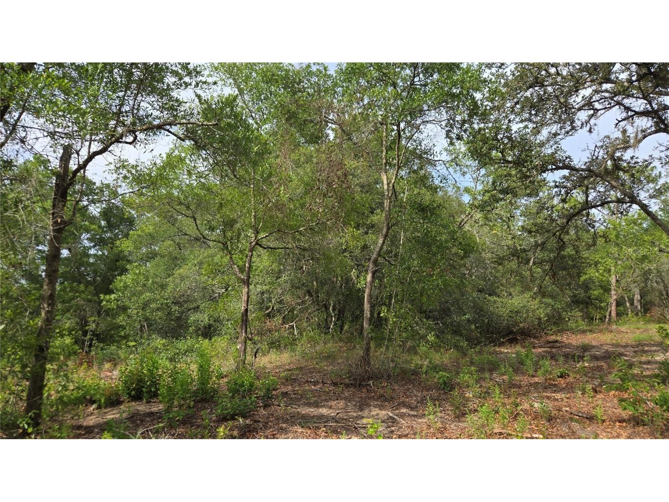 4771 N Redwood Avenue Hernando FL 34442 TB8398091 image9