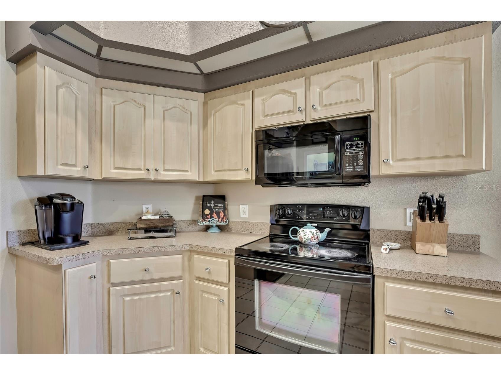 4771 Sand Ridge Boulevard Spring Hill FL 34609 W7884092 image10