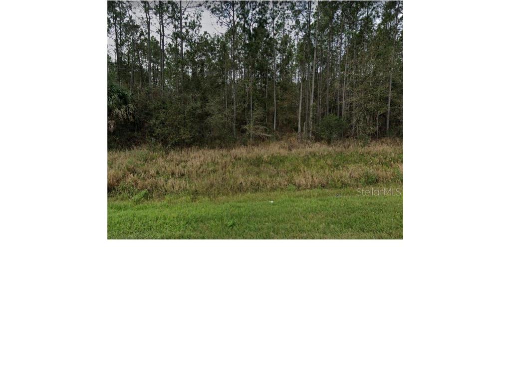 4771 State Hwy 100 W Bunnell FL 32110 A4556898 image1