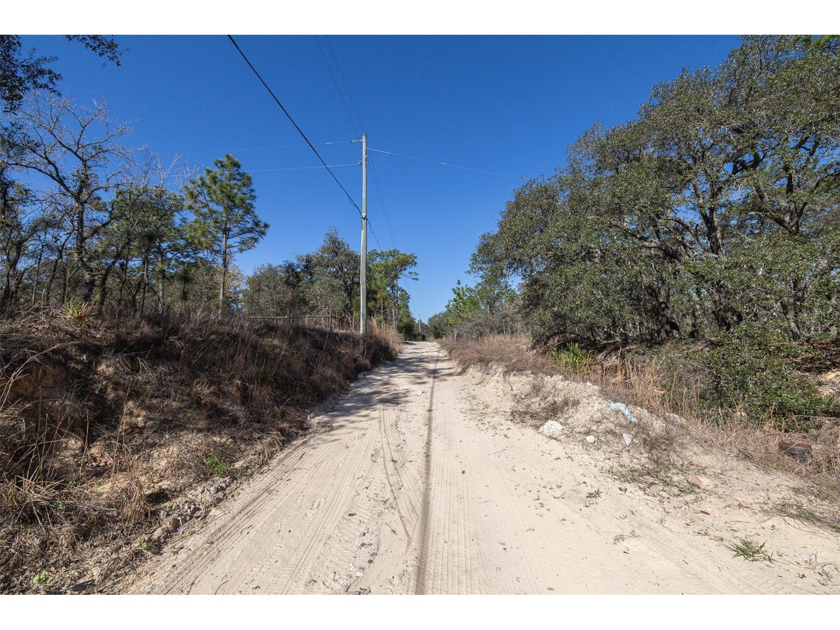 4771 W Herman Court Homosassa FL 34446 TB8489219 image11