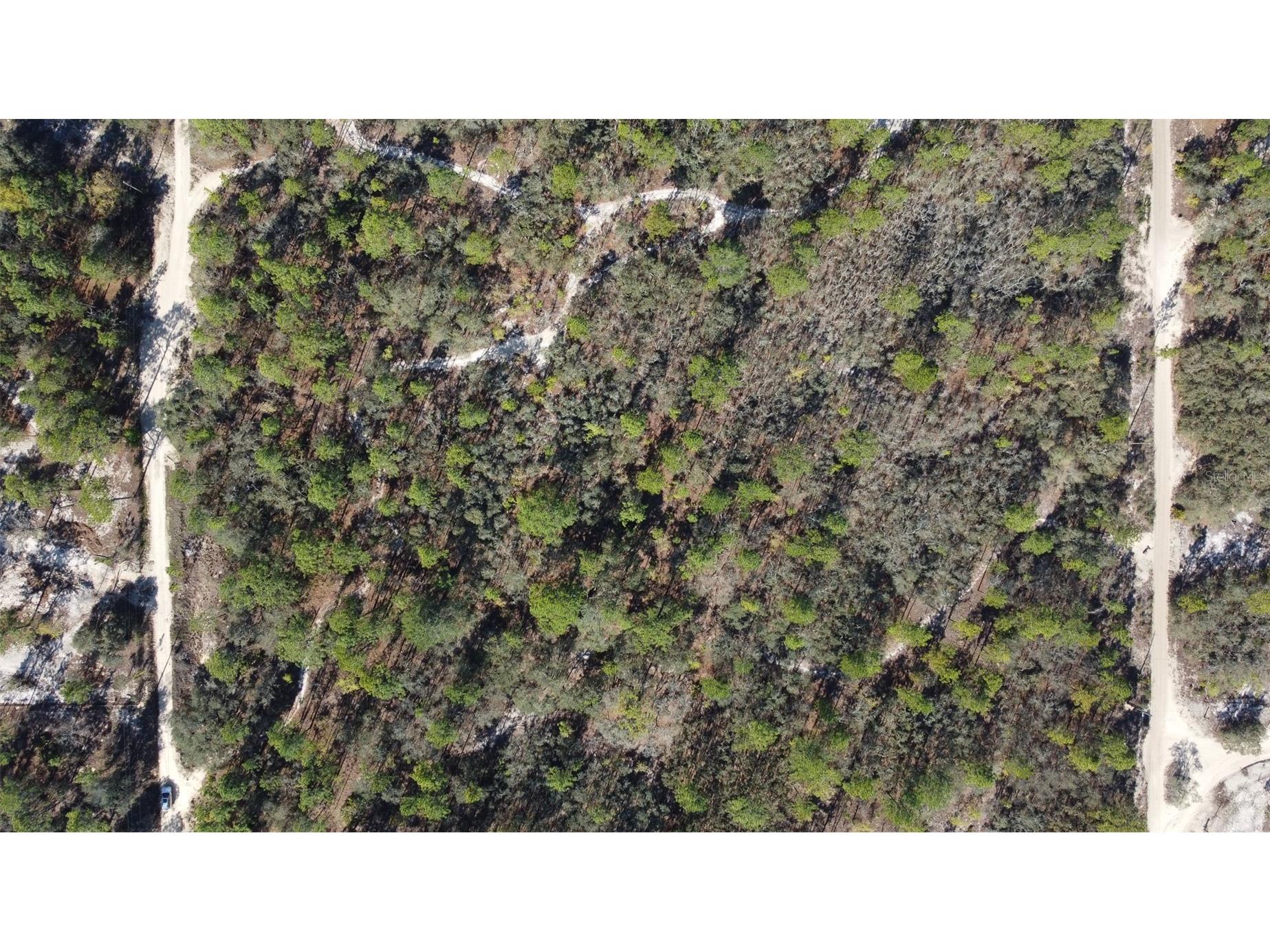 4771 W Herman Court Homosassa FL 34446 TB8489219 image12