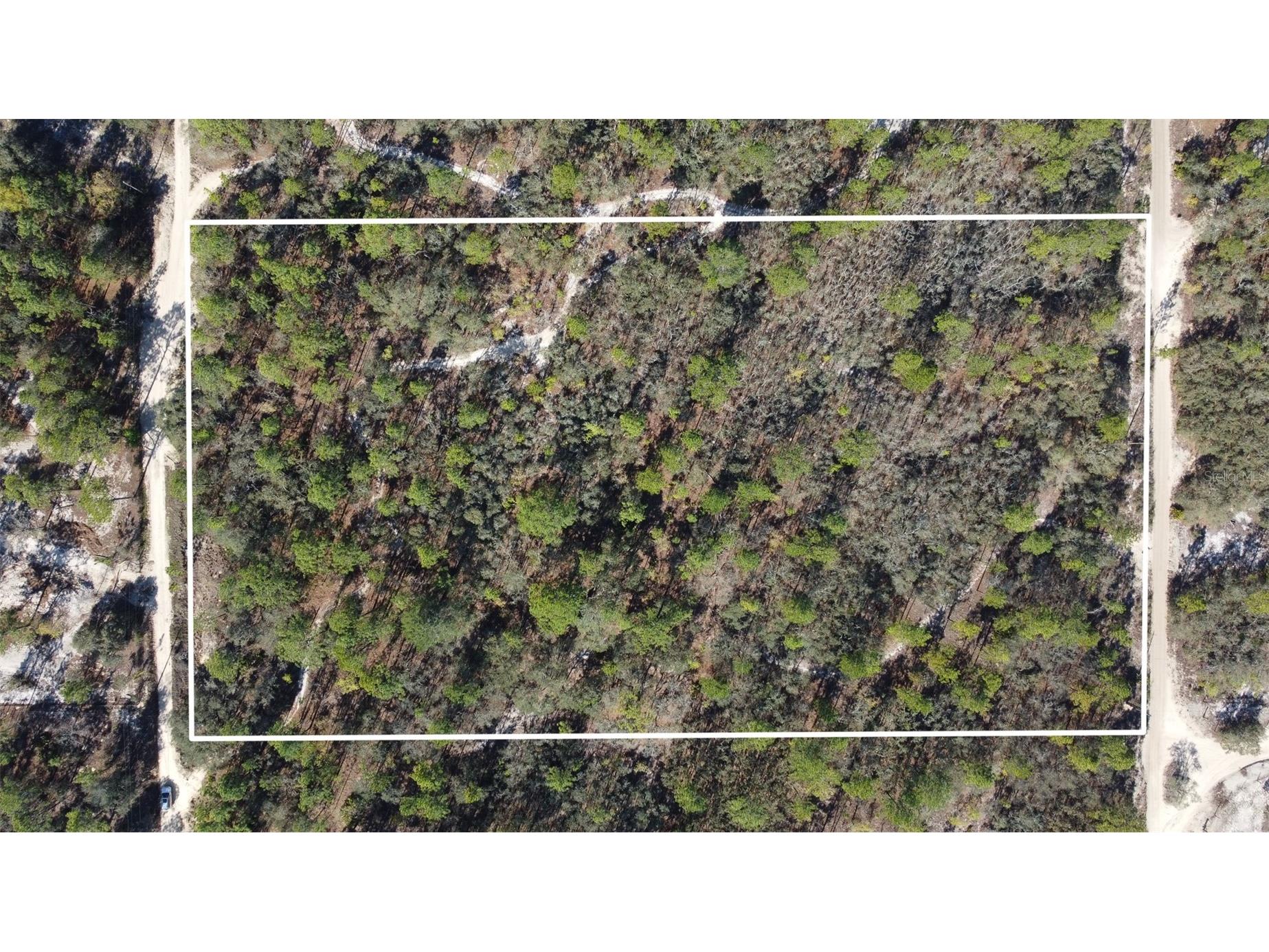 4771 W Herman Court Homosassa FL 34446 TB8489219 image13