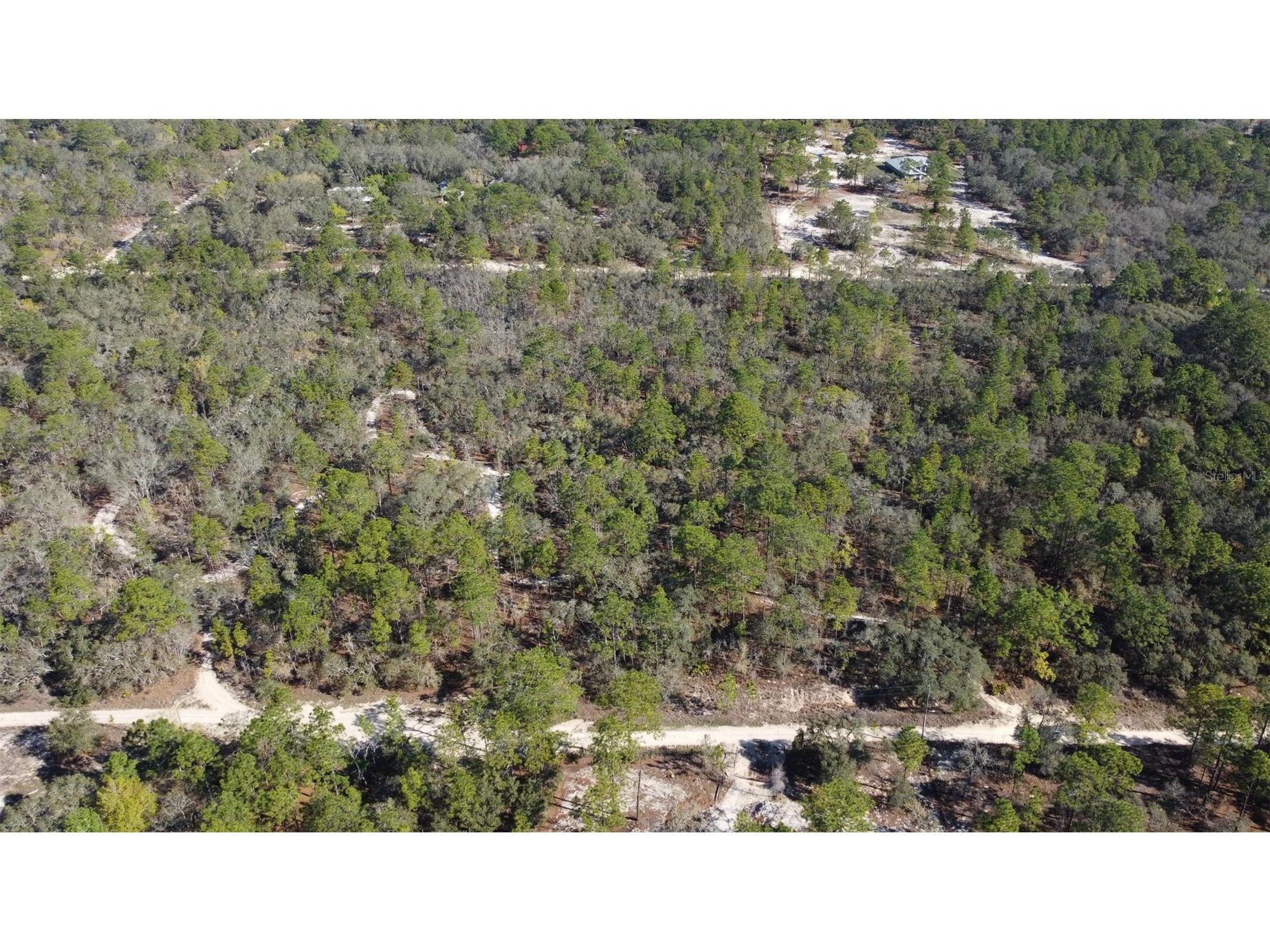 4771 W Herman Court Homosassa FL 34446 TB8489219 image14