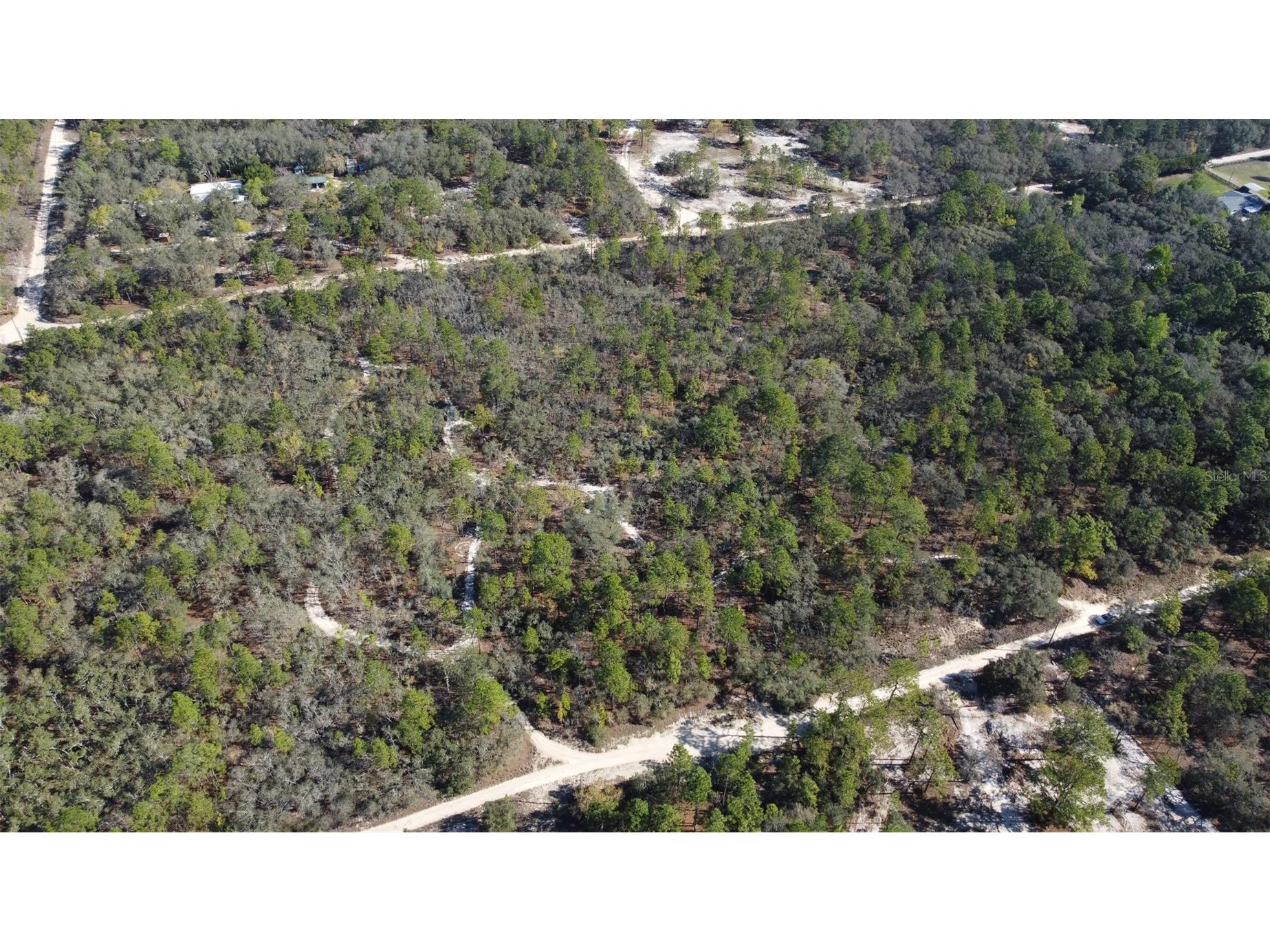 4771 W Herman Court Homosassa FL 34446 TB8489219 image2