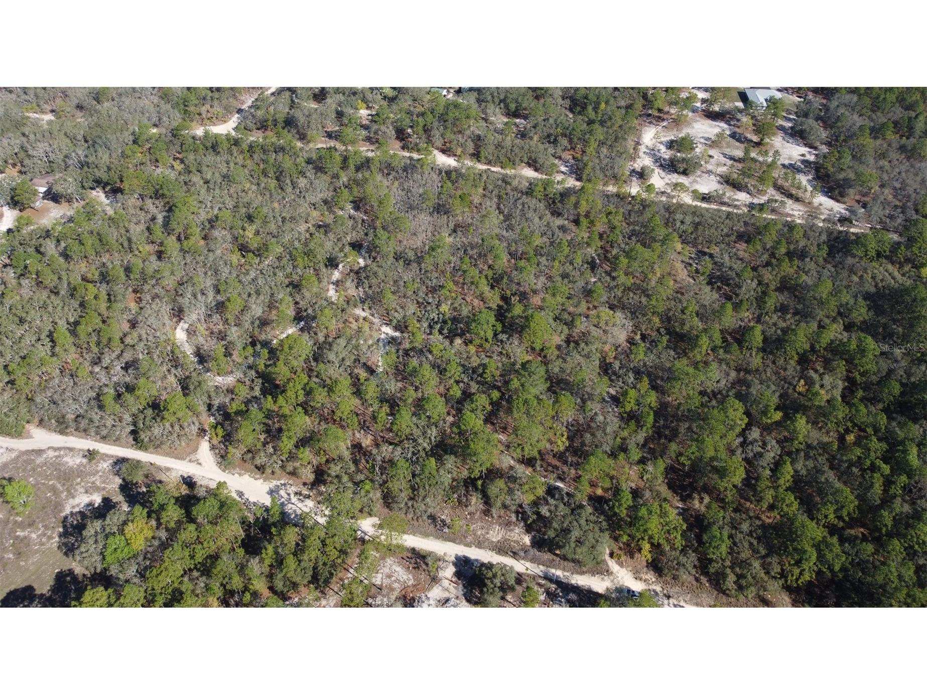 4771 W Herman Court Homosassa FL 34446 TB8489219 image4