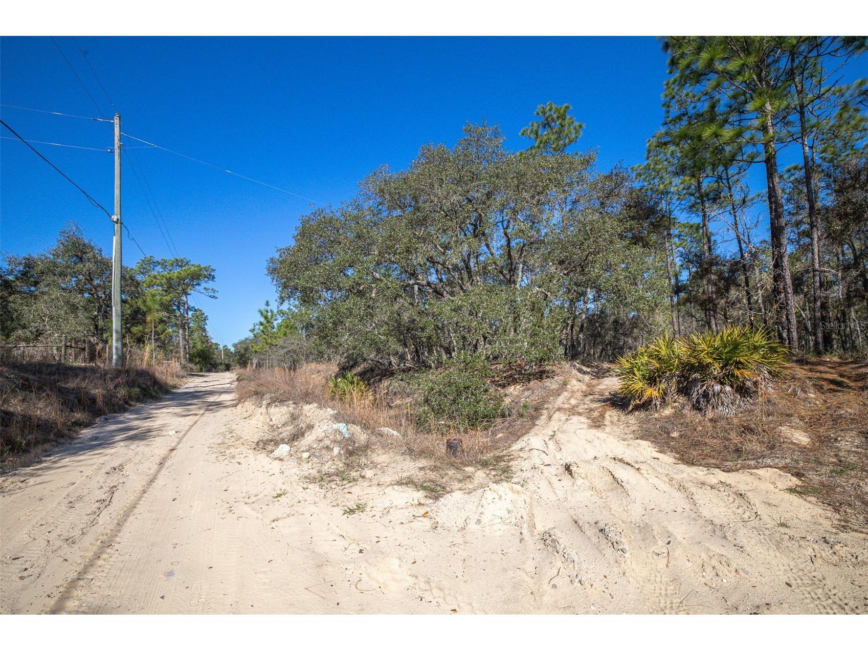 4771 W Herman Court Homosassa FL 34446 TB8489219 image6