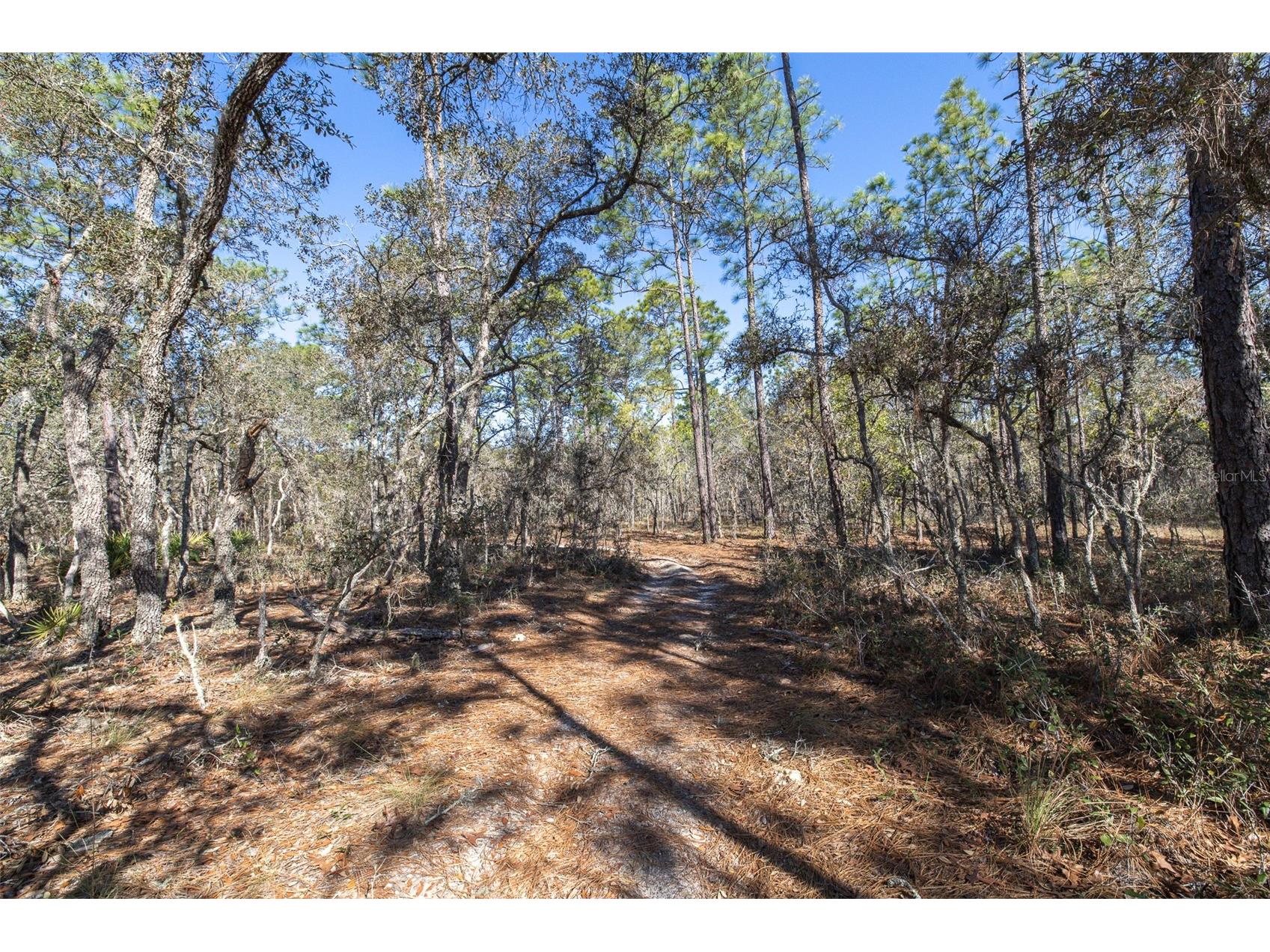 4771 W Herman Court Homosassa FL 34446 TB8489219 image7