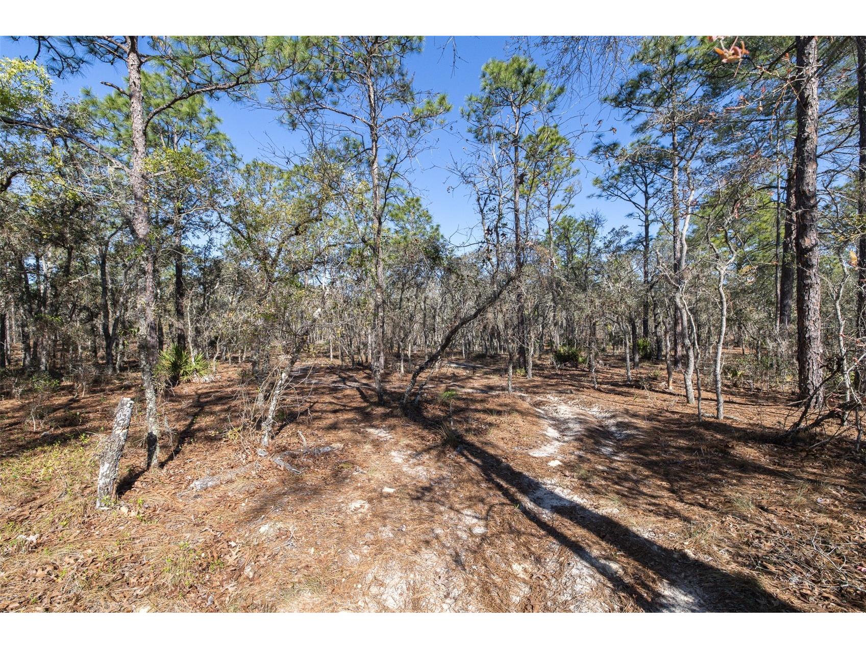 4771 W Herman Court Homosassa FL 34446 TB8489219 image8