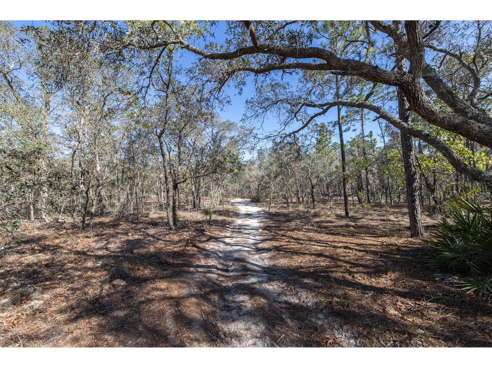 4771 W Herman Court Homosassa FL 34446 TB8489219 image9