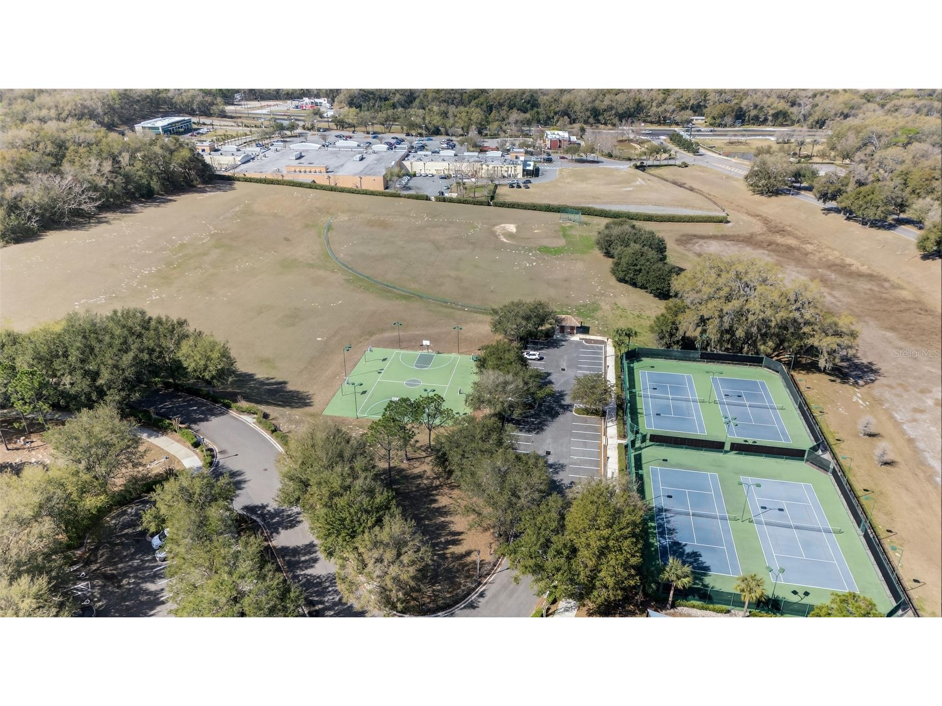 4773 Magnetite Loop Mount Dora FL 32757 TB8478408 image39