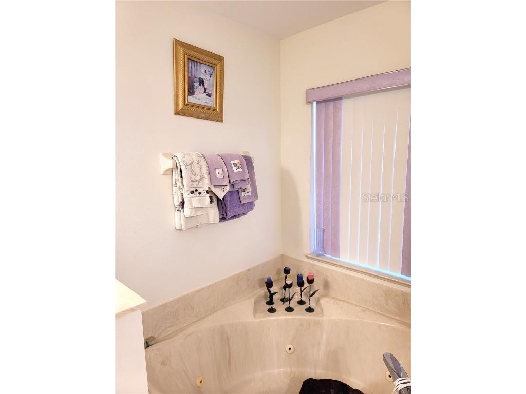 4773 NW 32nd Street Ocala FL 34482 L4941317 image35