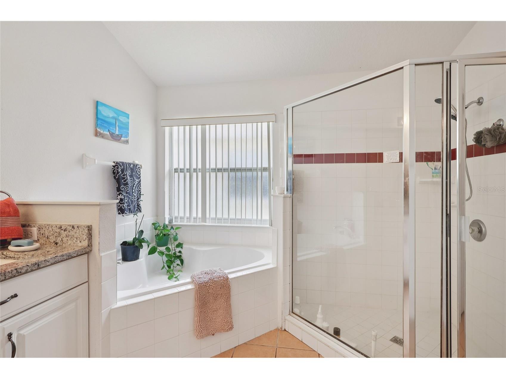 4774 Cumbrian Lakes Drive Kissimmee FL 34746 S5145366 image32