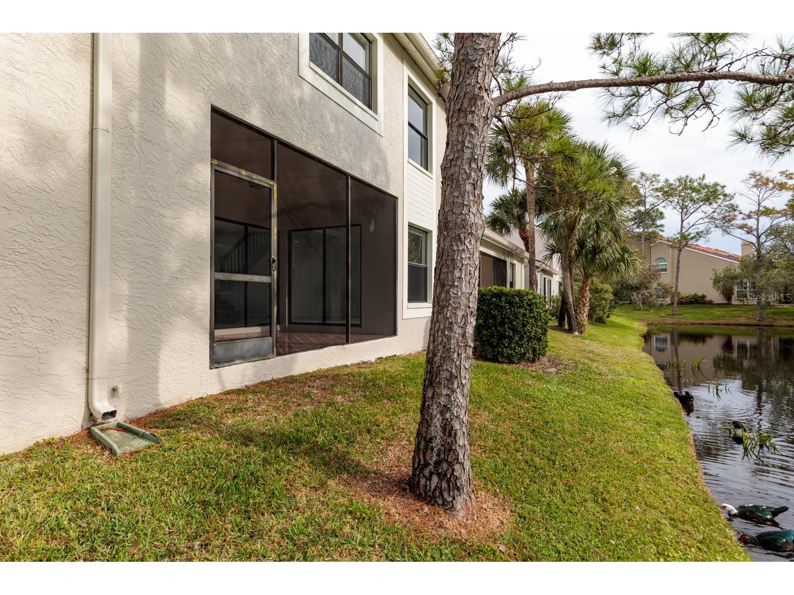 4774 Palermo Court NE #4774 Saint Petersburg FL 33703 TB8514742 image23
