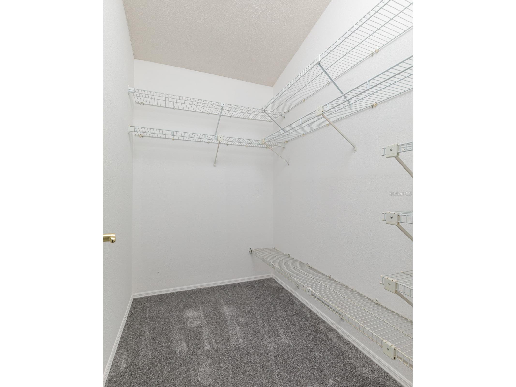 4774 Palermo Court NE #4774 Saint Petersburg FL 33703 TB8514742 image34