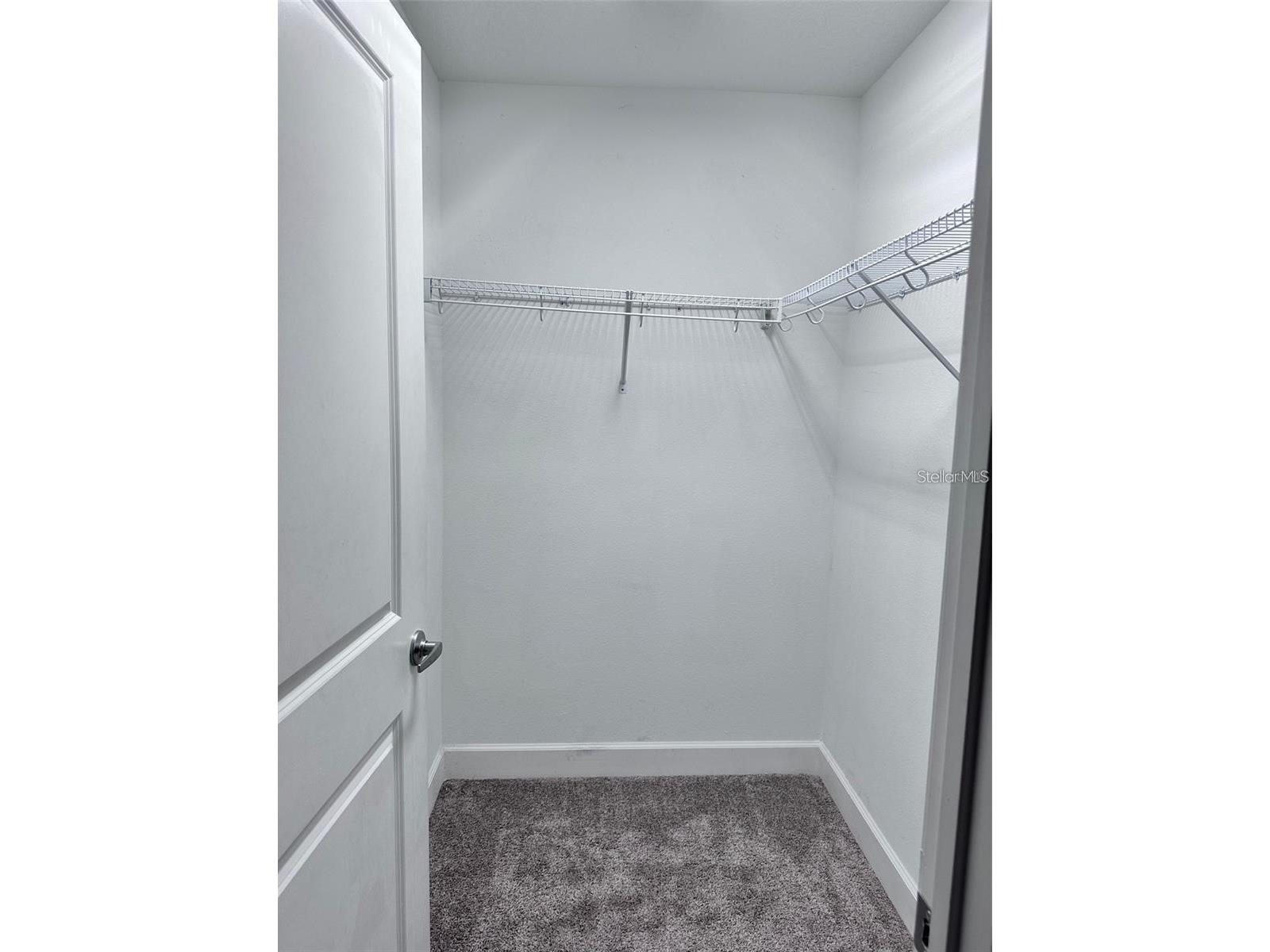 4774 Terra Esmeralda Drive Kissimmee FL 34746 S5149816 image7