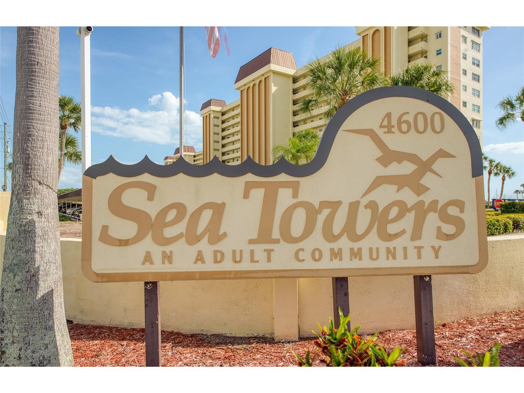4775 Cove Circle #106 Saint Petersburg FL 33708 TB8496250 image3