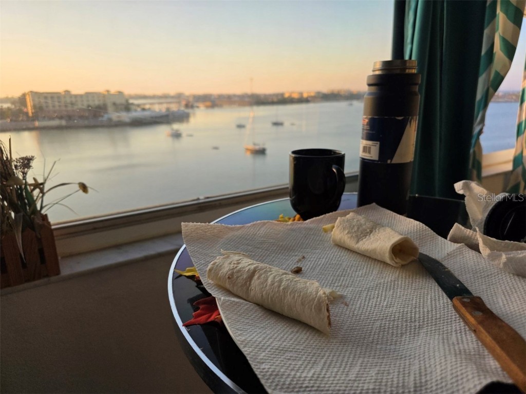 4775 Cove Circle #705 Saint Petersburg FL 33708 - INTRACOASTAL TB8444317 image9