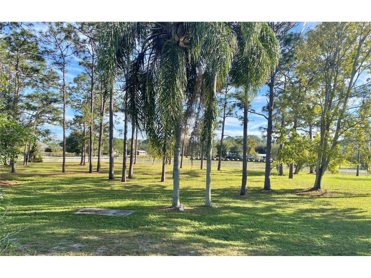 4775 Cypress Creek Ranch Road Saint Cloud FL 34771 O6366334 image9