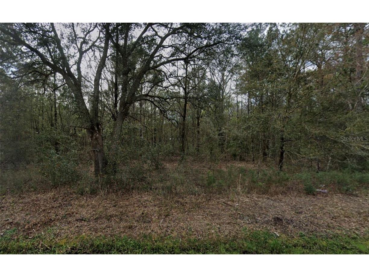 4775 Inez Street Hastings FL 32145 FC313552 image1