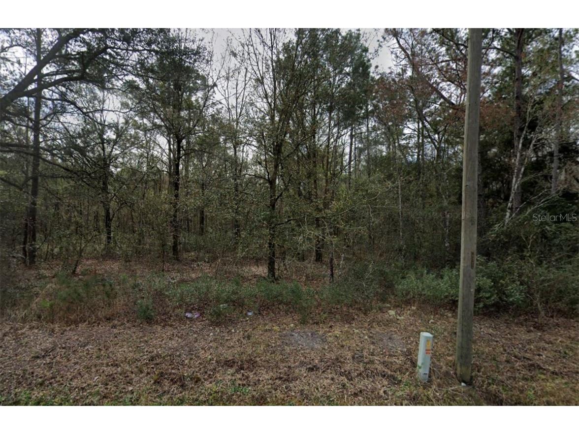 4775 Inez Street Hastings FL 32145 FC313552 image4