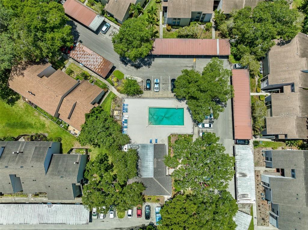 4775 Puritan Circle #N/A Tampa FL 33617 TB8371749 image1