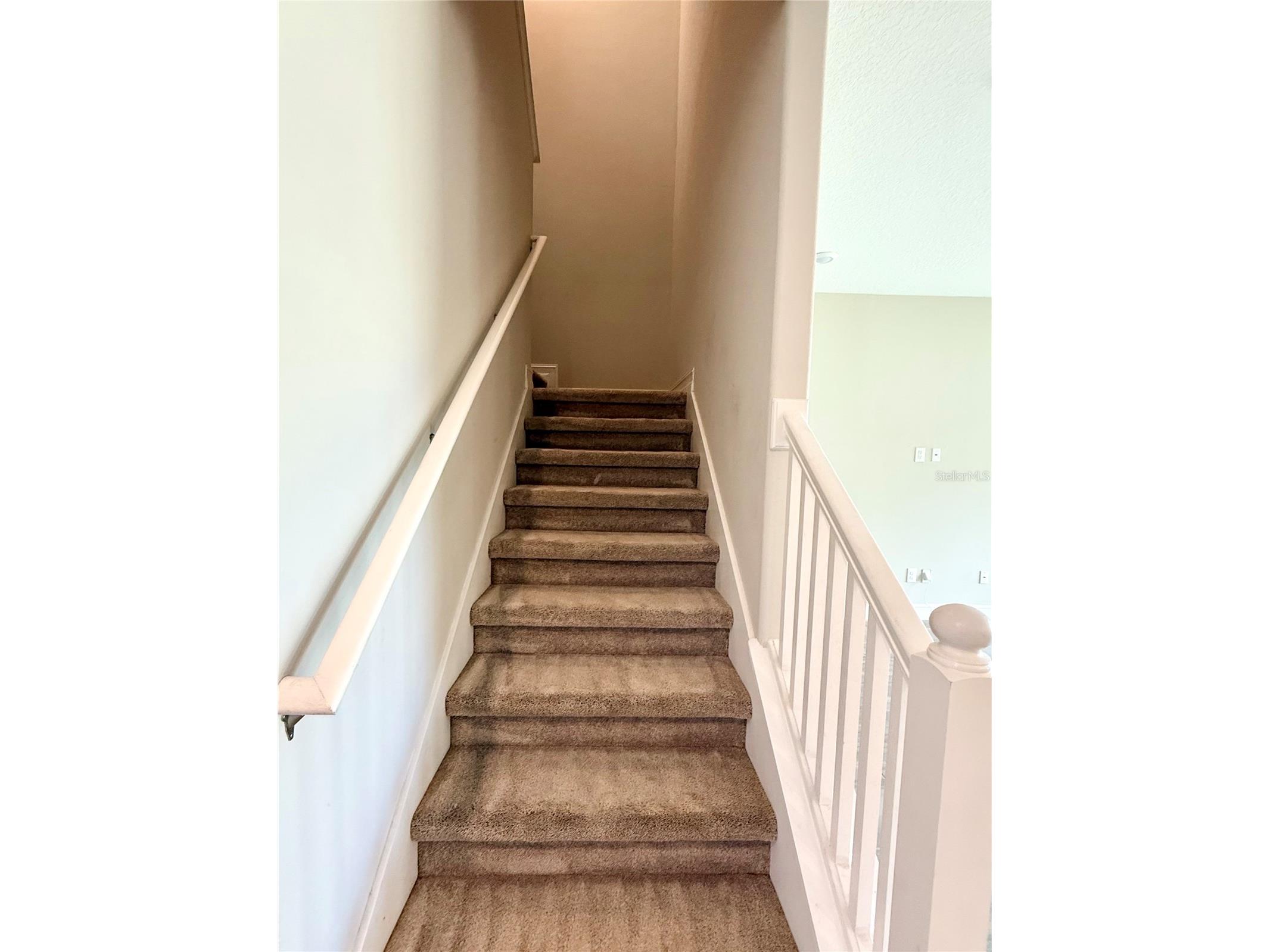 4776 Lagona Lane Wesley Chapel FL 33543 TB8485162 image13