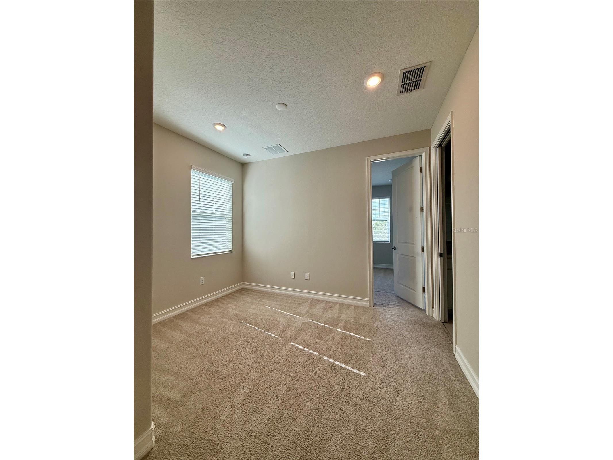 4776 Lagona Lane Wesley Chapel FL 33543 TB8485162 image14