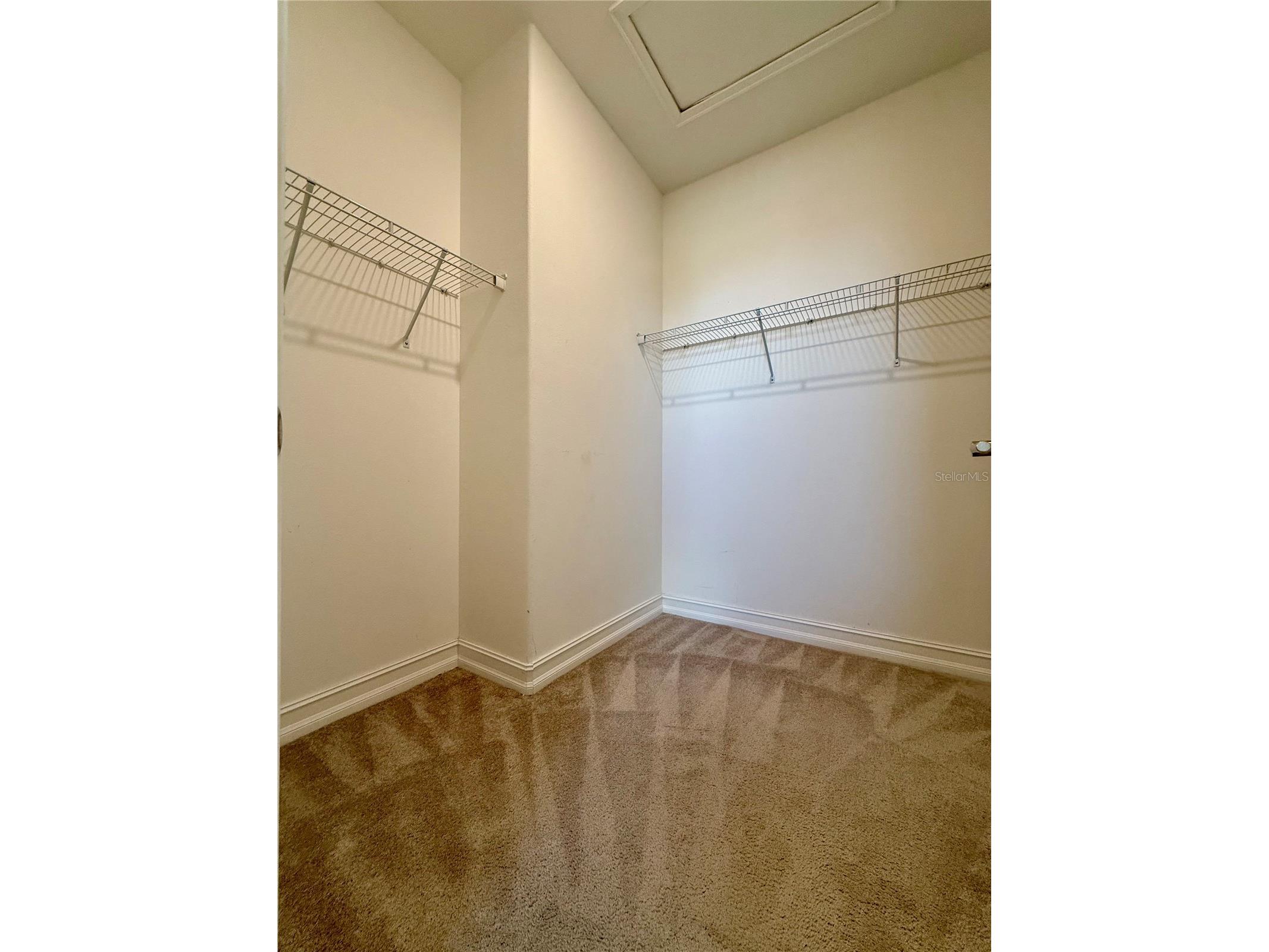 4776 Lagona Lane Wesley Chapel FL 33543 TB8485162 image18