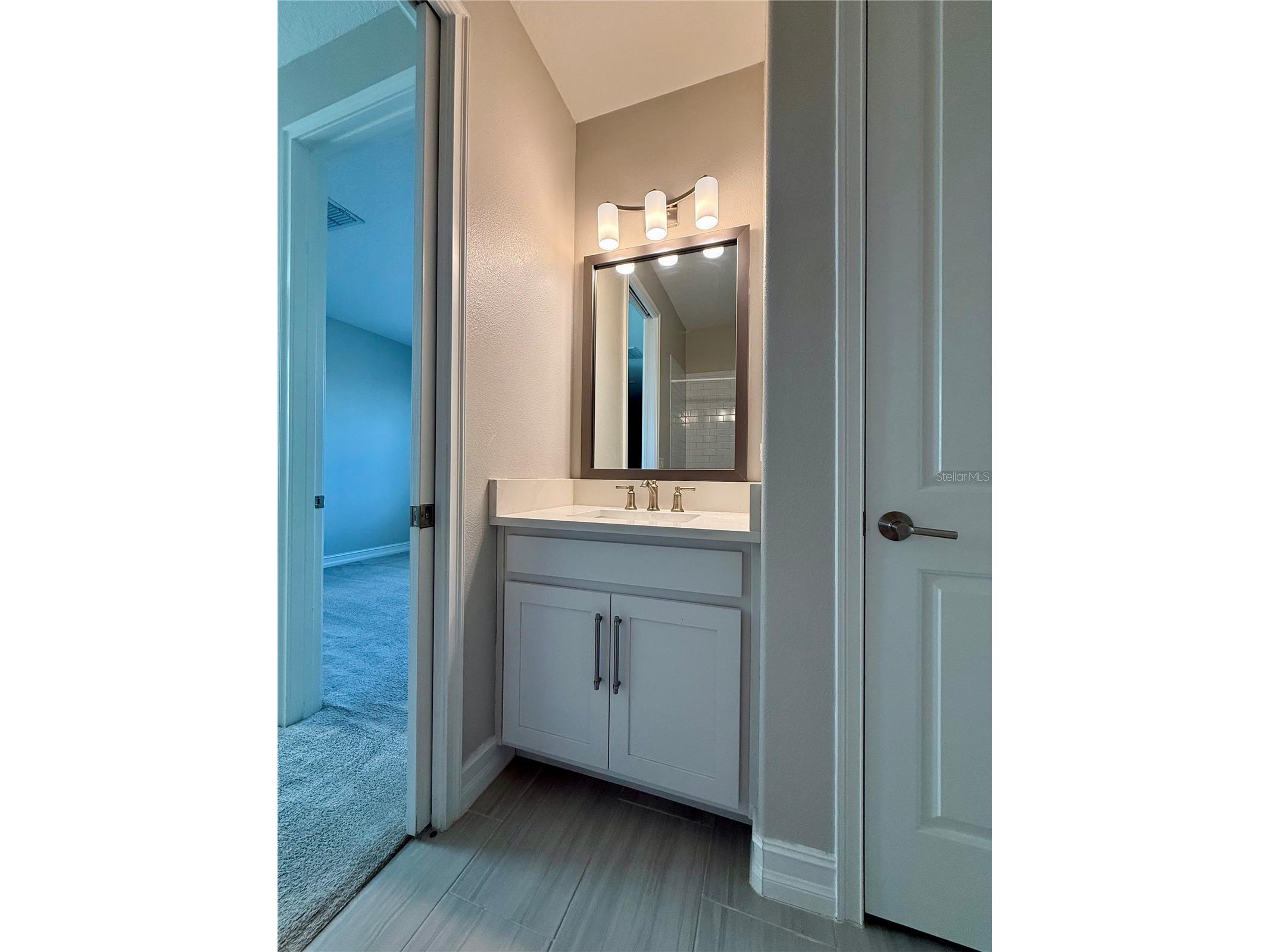 4776 Lagona Lane Wesley Chapel FL 33543 TB8485162 image21