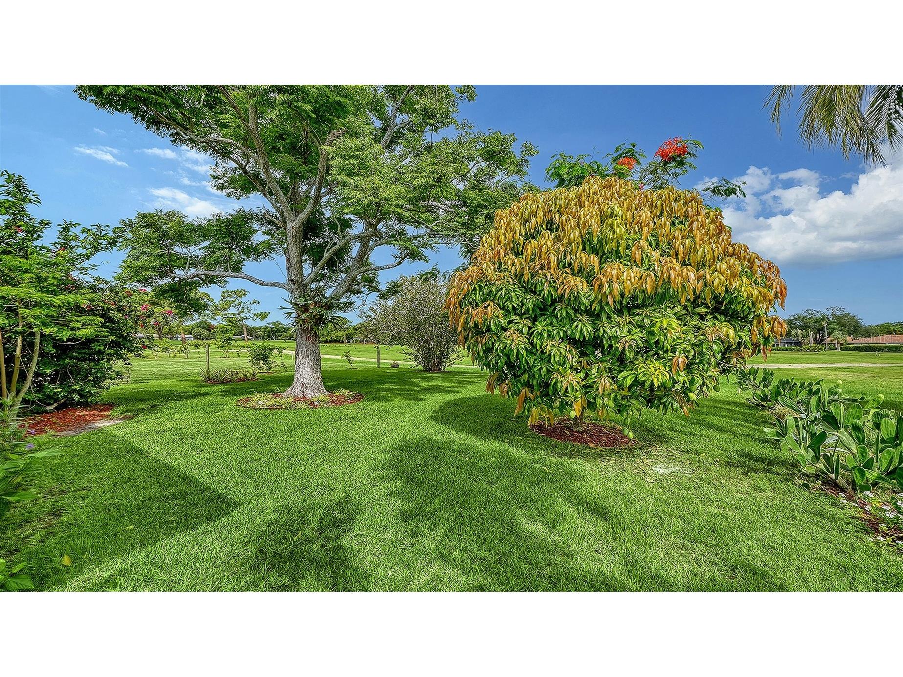 4777 Ringwood Meadow Sarasota FL 34235 A4698631 image12