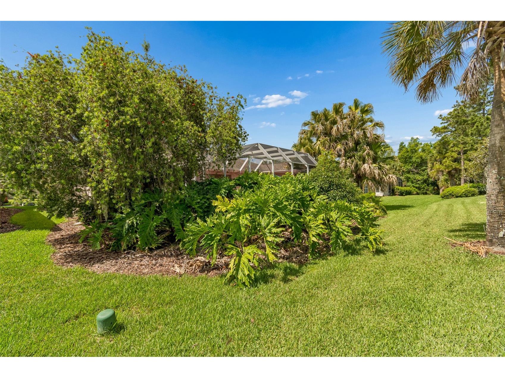 478 Balboa Drive Kissimmee FL 34759 S5150443 image57