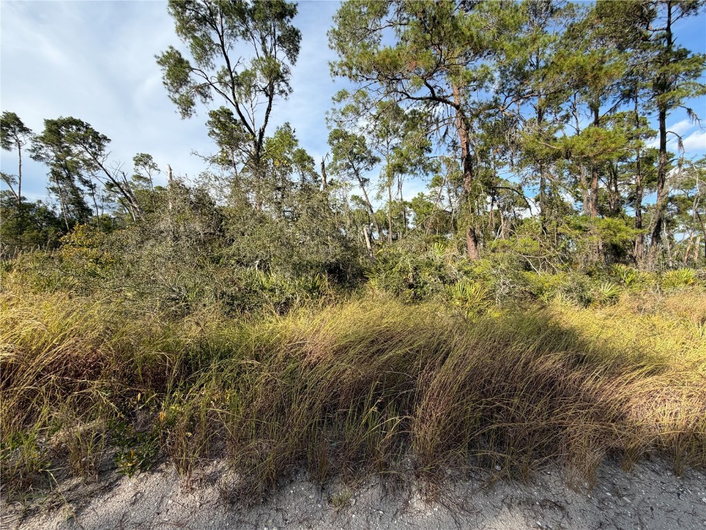 478 Darter Avenue Sebring FL 33870 O6366377 image2