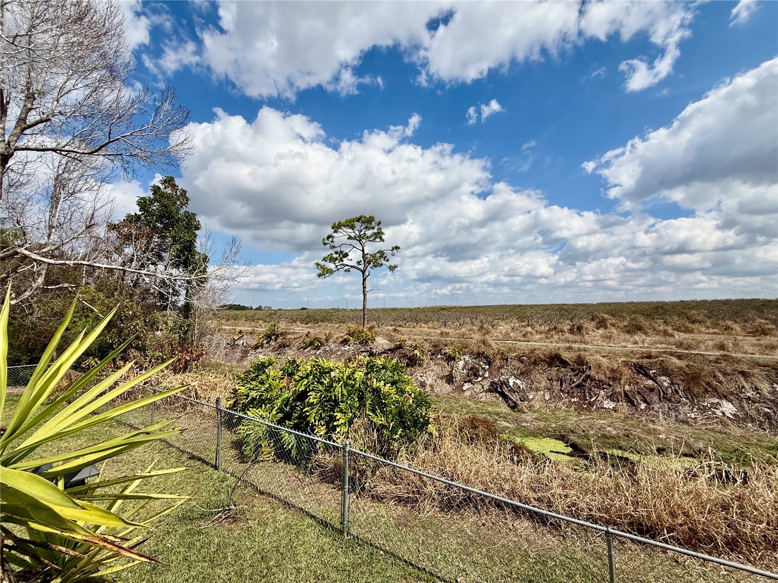 478 Humphrey Avenue Lake Placid FL 33852 L4959614 image30