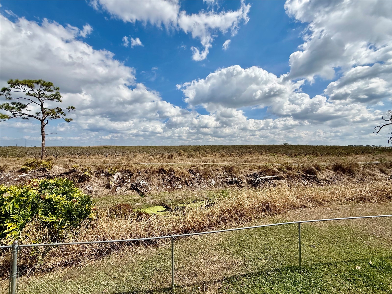 478 Humphrey Avenue Lake Placid FL 33852 L4959614 image31