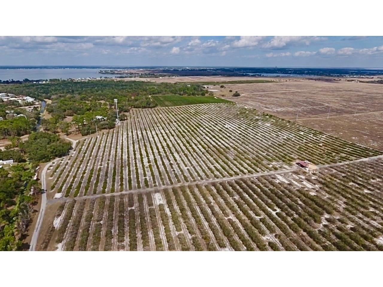 478 Humphrey Avenue Lake Placid FL 33852 L4959614 image34