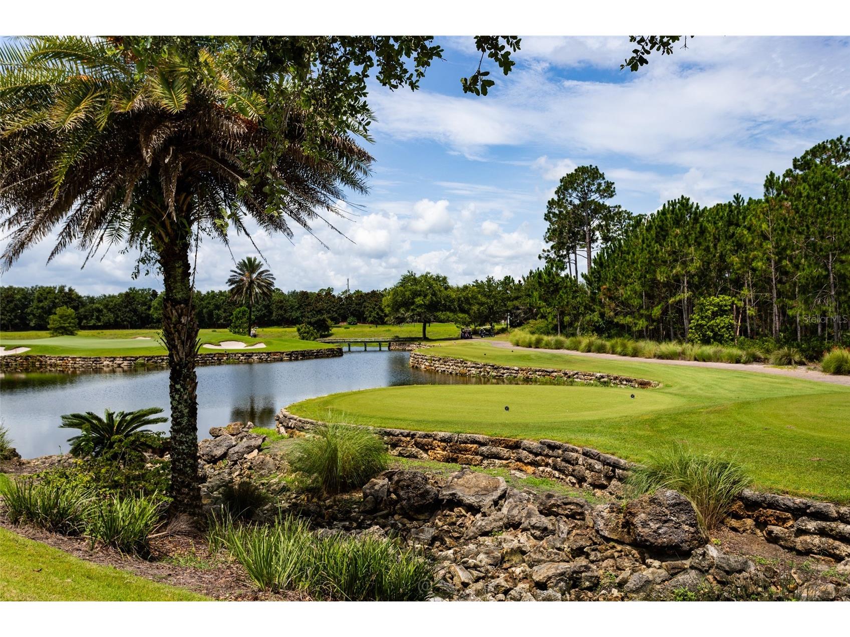 478 Sweetgum Lane Palm Coast FL 32137 FC319525 image49