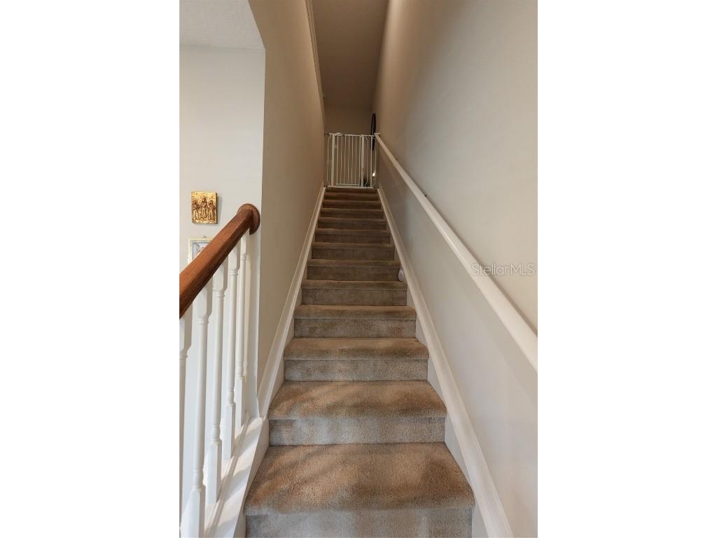 4781 Coral Castle Drive Kissimmee FL 34746 O6349355 image22