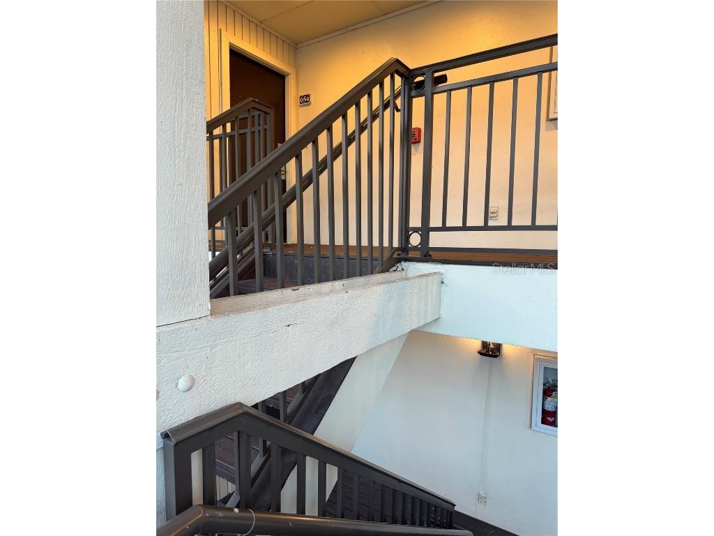 4782 Fox Hunt Drive #D654 Wesley Chapel FL 33543 TB8448514 image2