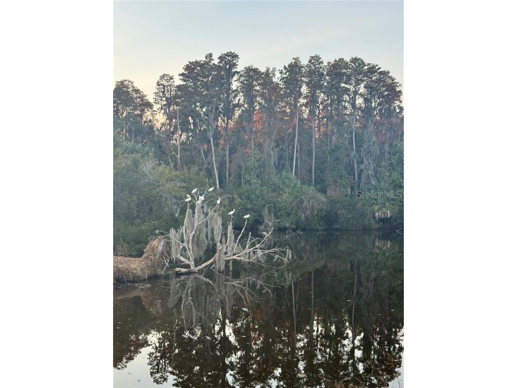 4782 Fox Hunt Drive #D654 Wesley Chapel FL 33543 TB8448514 image32