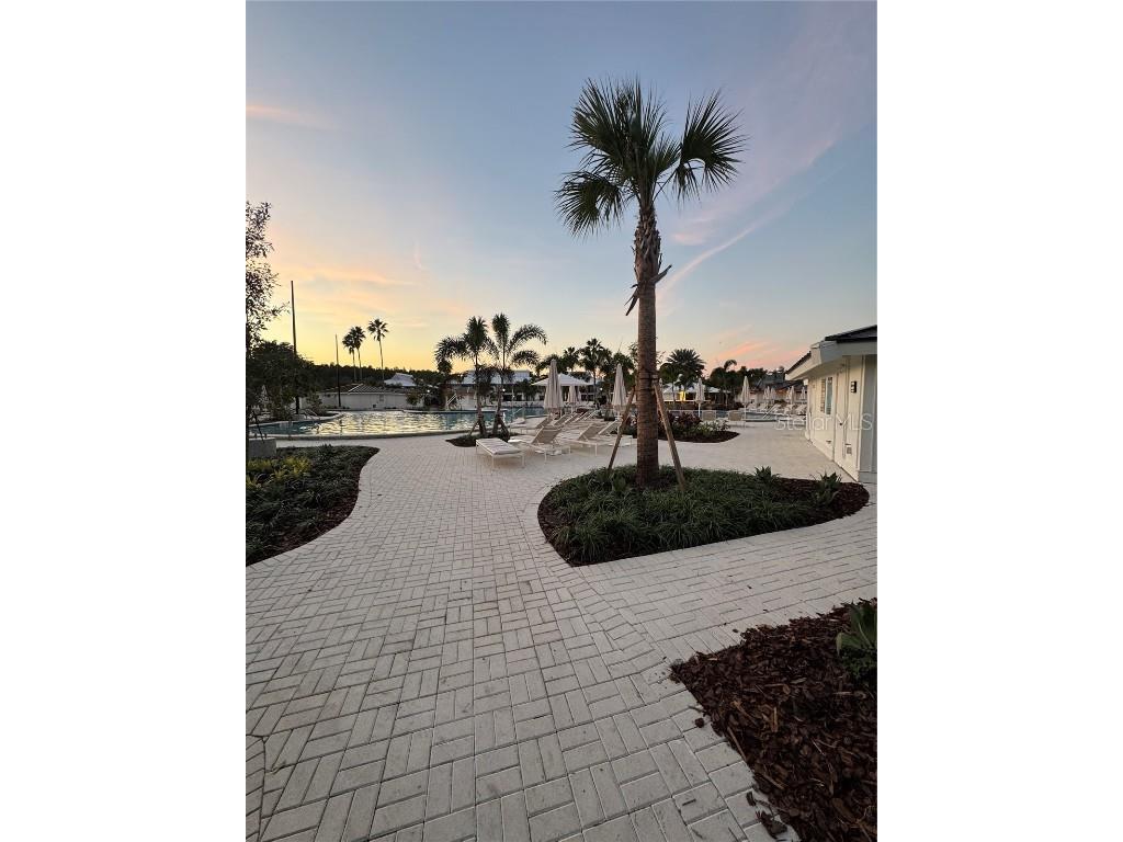 4782 Fox Hunt Drive #D654 Wesley Chapel FL 33543 TB8448514 image41