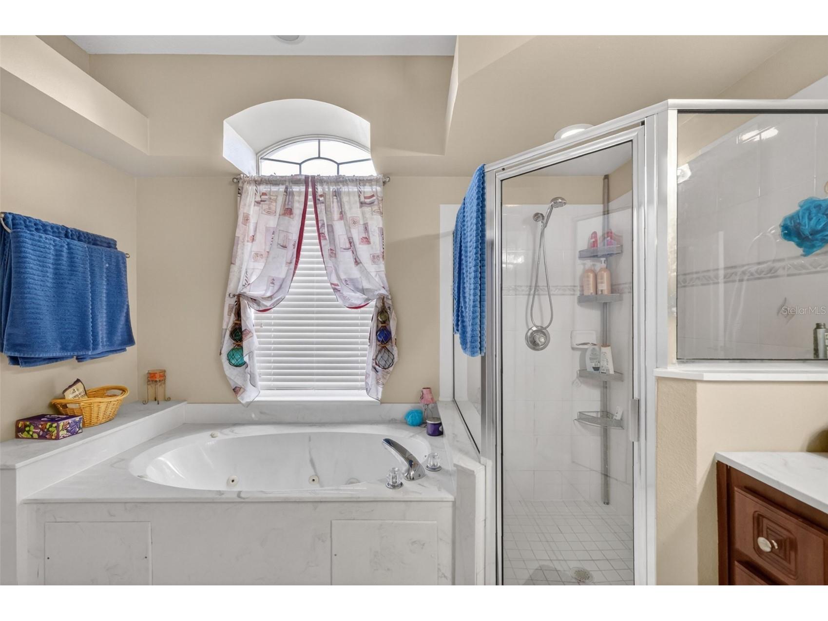 4783 SW 131st Place Ocala FL 34473 OM724804 image24