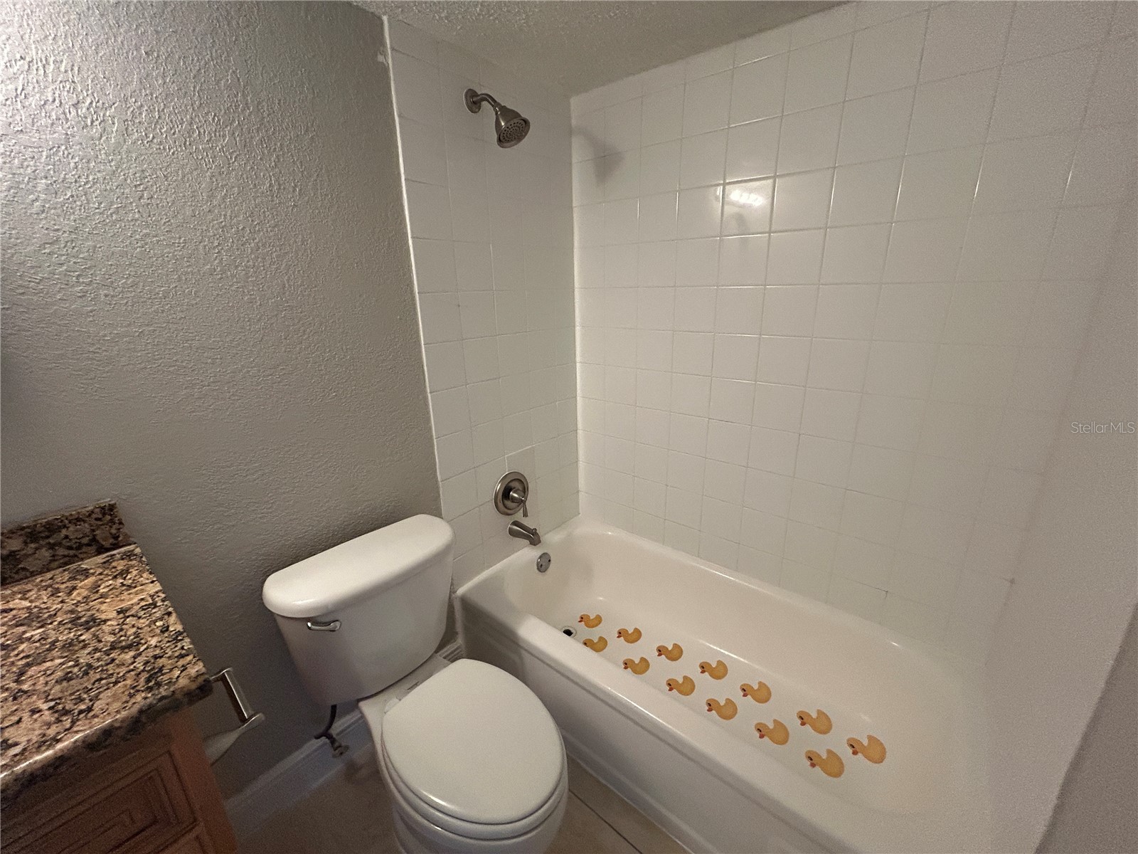 4785 S Texas Avenue #4785C Orlando FL 32839 O6394912 image19